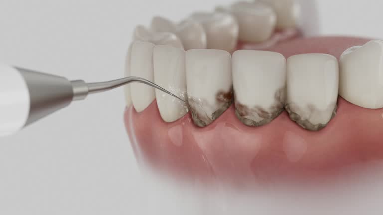 Reliable Dental contractor in Gate City, VA by Dentist Open Now